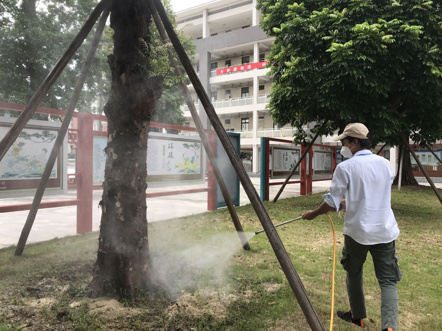 广州校园绿化消杀灭蚊现场